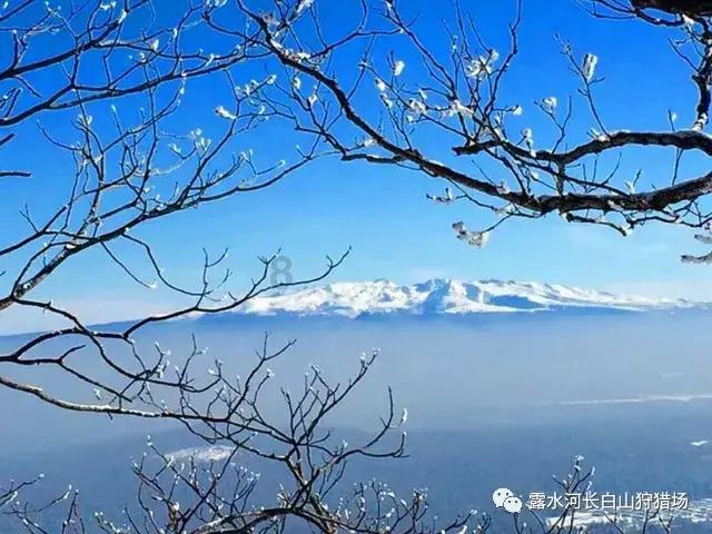 矮人国之战3无敌版