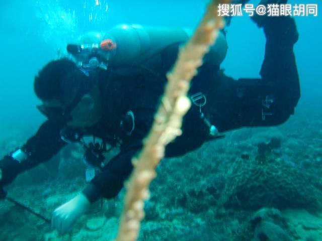 幸福满格故事荟③丨情满新兴 一个都不能少